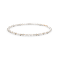 Necklace FARWGLB685-C