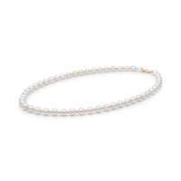 Necklace FARWGLB685-M