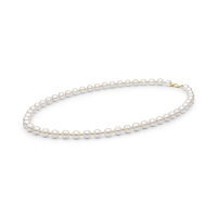 Necklace FARWGLBY685-M