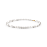 Necklace FARWGLY795-C