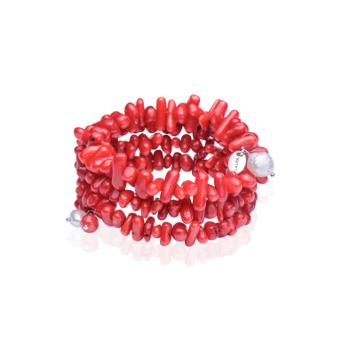 Bracelet FN2-107B