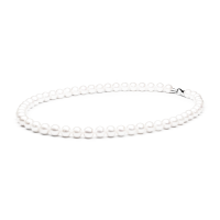 Necklace FORW611-ML
