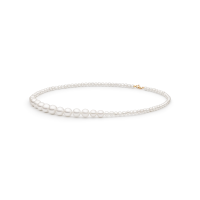 Necklace L232-56 Necklace L232-56