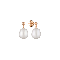 Earring MS24494GE