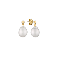 Earring MS24495YE