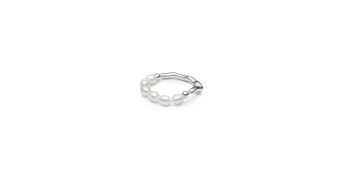 Ring MS25250R