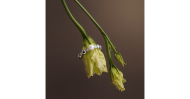 Ring SK25237R