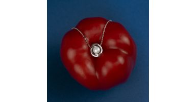 Pendant necklaces SK26456N