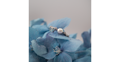 Ring SK26462R