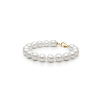 Bracelet PYFEDW511-B