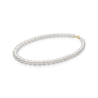 Necklace PYFEDW511-M