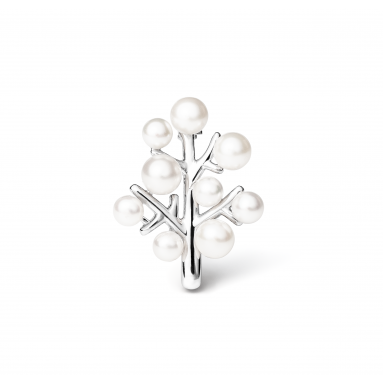 Brooche SK19245BR