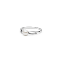Ring SK24466R