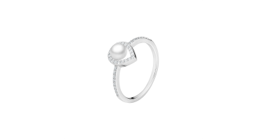 Ring SK25216R