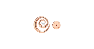 Brooche SK25369GBR